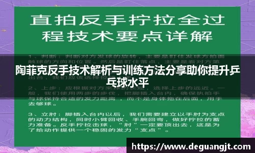 陶菲克反手技术解析与训练方法分享助你提升乒乓球水平